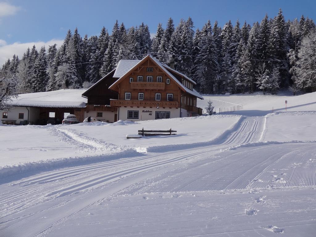 Haslehnerhof Villa Рамзау ам Дахщайн Екстериор снимка